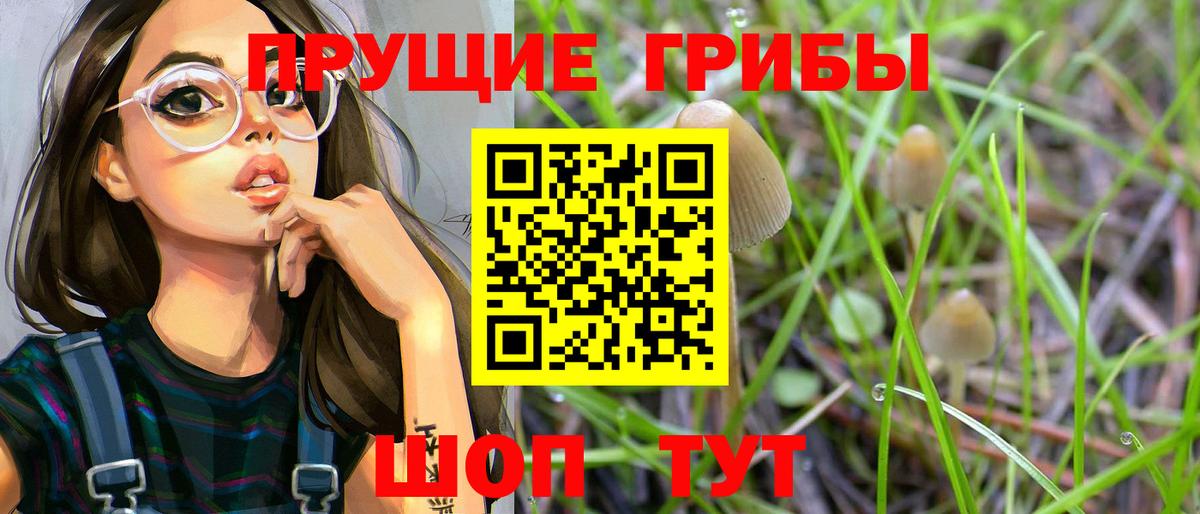 Городец  наркошоп  Вход с VPN  Галлюциногенные грибы прущие грибы 